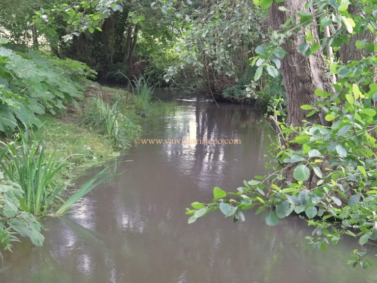 Um dos afluentes do Rio Sena, que corta a propriedade de Monet.