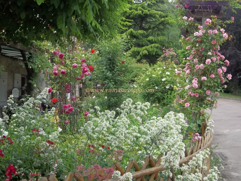 A caminho da Casa e Jardins de Claude Monet.