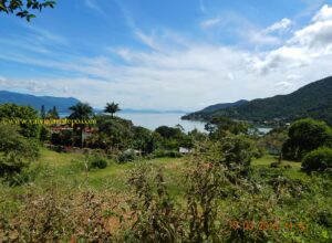 No início ainda descortinamos belas paisagens como essa. Entretanto, nosso passeio pela mata foi compensador porque encontramos os habituais frequentadores da trilha, que passavam voando em sentido contrário e nos cumprimentavam. 