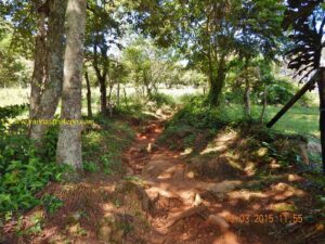 Nossa estréia na trilha foi tão cuidadosa, que vez ou outra parávamos para descansar um pouco. 