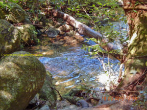Como não se deter em um riacho como esses, ouvindo barulho de água deslizando sobre pedras e ouvindo canto de pássaros?