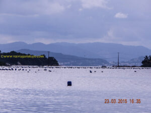 Tapera e as Ilhas Dona Francisca (a maior), e Laranjeiras (a menor).