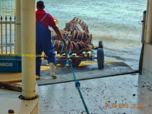 Esta quantidade de lanternas os funcionários da fazenda devolviam ao mar no momento de nossa chegada à fazenda.