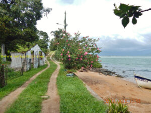 Caminho à beira do Paraíso das Ostras, que leva a uma propriedade particular - uma residência na ponta sul da Ilha de Florianópolis. Um luxo!