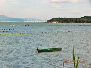 Ao fundo vê-se uma parte do continente, pertencente à Praia do Sonho. E a ilha que se vê à direita não é habitada; chama-se Ilha dos Cardos, onde há abundância de camarões. Mas, por ser muito fundo, a rede deverá ser especial.