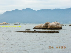 Vista parcial da praia da Tapera.