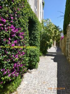 Rua florida de Biot.