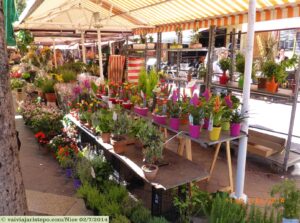 Mercado de Flores do Cours Saleya.