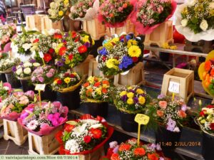 À exceção das segundas-feiras, estas barracas de flores decoram o Cours Saleya nos demais dias da semana.