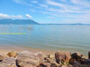 A caminho da Caieira da Barra do Sul. Na foto, pequena parte do Ribeirão da Ilha.