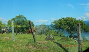 Quem diz que tanto bucolismo fica ao sul da Ilha de Florianópolis?