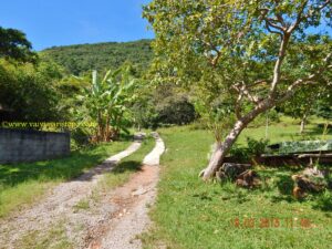 Quando vimos o início da trilha (foto), pensamos que seria a maior moleza. Daí...