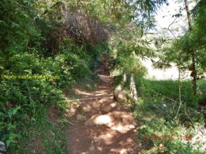 Ainda estava elogiando a moleza da trilha quando começou a ficar assim esquisito.