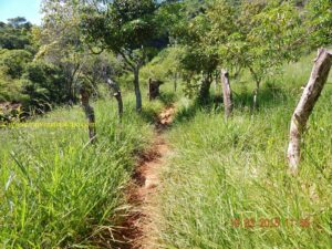 Até esse ponto ainda era possível fazer uns 3 metros em uma tacada só.