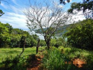 Não deu mais prá elogiar o caminho! Porque a vista...