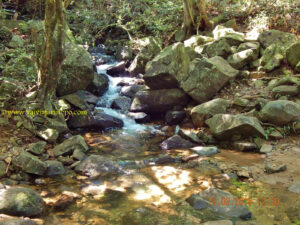 Sem comentários... Ouvir o canto de pássaros, o barulhinho da água lambendo a terra, o vento acariciando os galhos das árvores...Mas também pensei em cobra; pode crer.