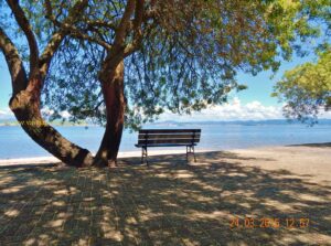 Nada melhor do que comer um saboroso prato em um dos restaurantes do bairro, e depois ficar "giboiando" a refeição apreciando o mar.