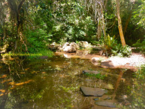 Saquei muitas fotos na trilha. A indecisão veio no momento de escolhê-las para postá-las.
