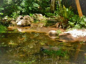 Fui tentando eliminar, mas acabei  postando todas.