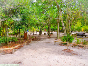 Churrasqueiras são proibidas no parque.