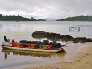 Tal qual outros restaurantes do Ribeirão da Ilha, o Rancho Açoriano também possui fazenda própria de moluscos.