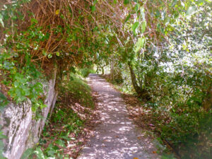 Na volta da Praia do Matadeiro decidimos não arriscar e passamos pela ponte...