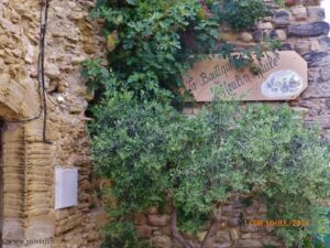 O movinho produz cremes de beleza, gel de banho, loção facial tonificante, em cuja composição o azeite está presente. Além disso, há embalagens que variam de 250ml até 5 litros. Ah, se o moinho estivesse aberto...