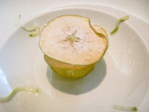 POM POM POM - Maçã Desidratada, Sorvete de Maçã Verde.