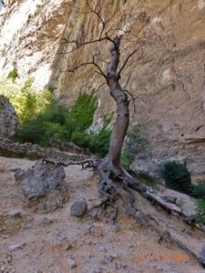 Nesta foto também é possível ver a marca deixada pela elevação do nível da água da Fontaine-du-Vaucluse.
