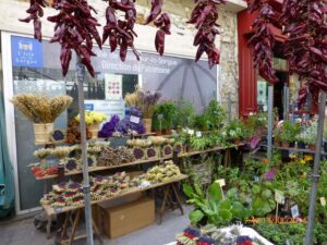 Nestas feiras o consumidor também encontra flores desidratadas, raízes perfumadas, galhos, sementes embaladas... Há várias opções para o turista levar um fragmento da Provence em sua mala.
