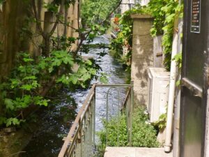 Isto é que é morar bem. Barulhinho de água... pé de figo na porta... cidade que é atração turística...