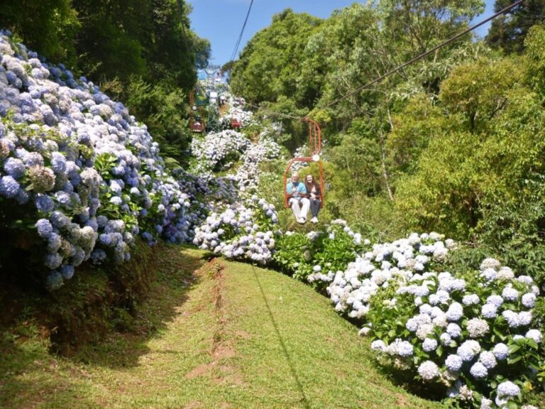 Descer de bondinho sobre um mar de hortênsias não tem preço. O resto, a gente compra com...