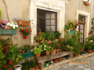 Muitas florers em vasos e suportes ocupam a calçada de Apt.