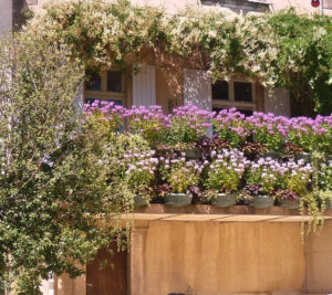 <span style="font-family: 'comic sans ms', sans-serif; font-size: 14pt;">A Provence pela qual tenho paixão é rica em simplicidade, cores, em aromas e 