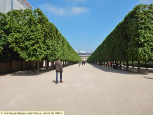 Assim que você adentrar os Jardins do Palácio Royal, atravesse-o. Passar por esse corredor é relaxante e, dependendo da época em que você o visitar, ele estará com as árvores coloridas - é a Natureza pintando nosso Planeta Terra com suas belas cores.