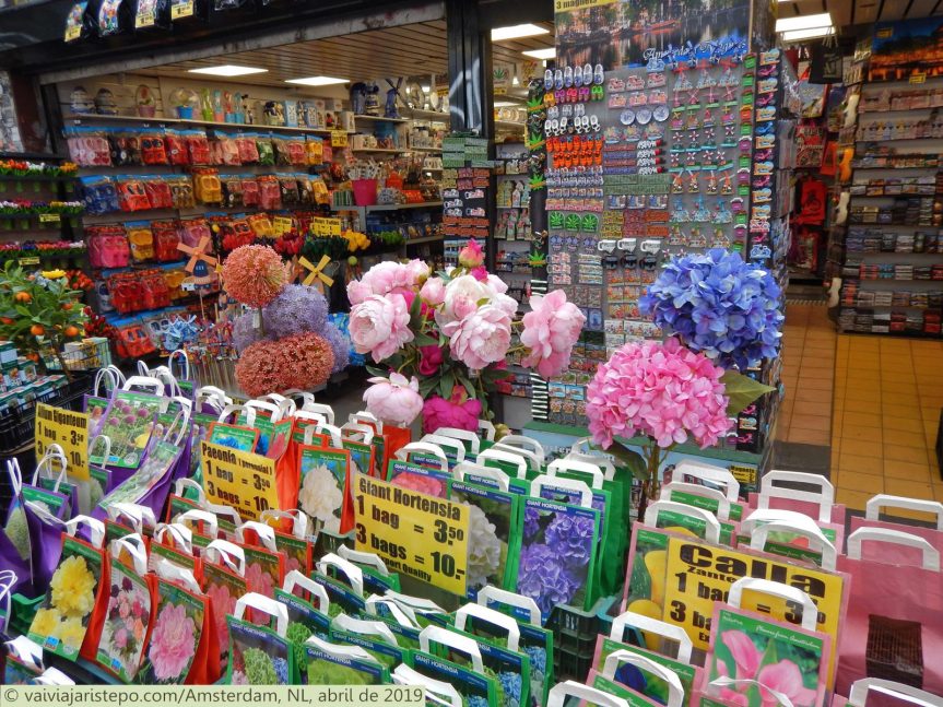 HOLANDA . AMSTERDAM . BLOEMENMARKT - O Mercado Flutuante de Flores . Onde  Comprar Lembranças da Holanda. • Vai viajar, Istepô!