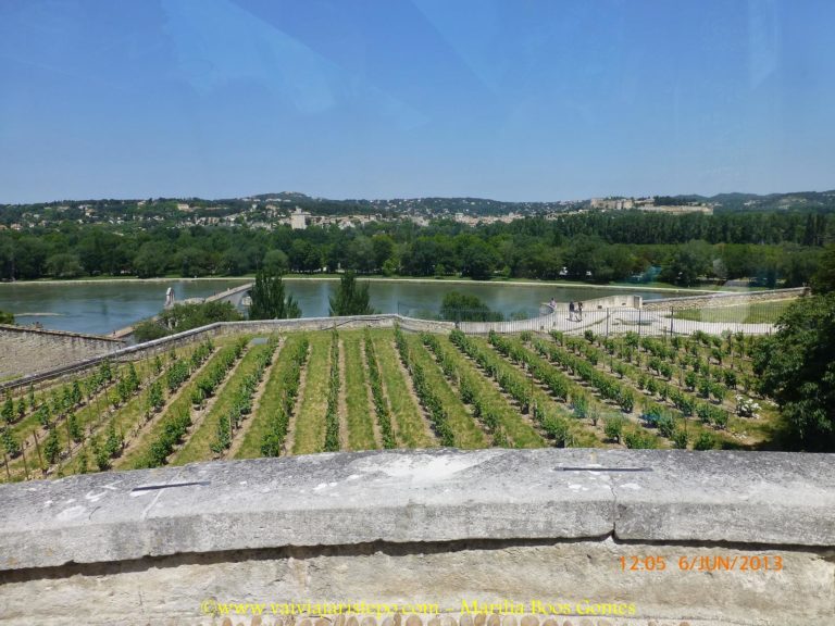 Avignon - Rio Ródano.