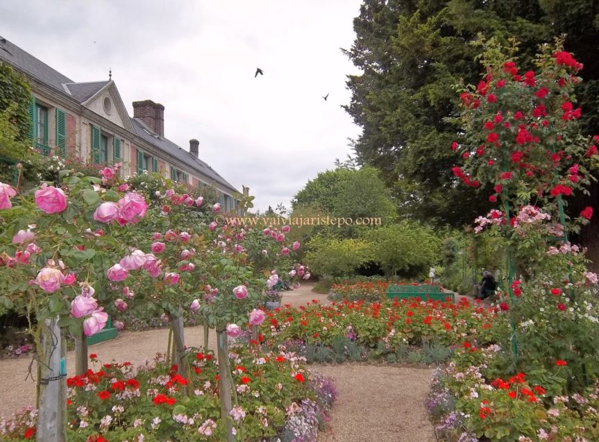FRANÇA . NORMANDIA . GIVERNY – Os Perfumados Jardins Que Claude Monet Imortalizou Em Suas Telas.