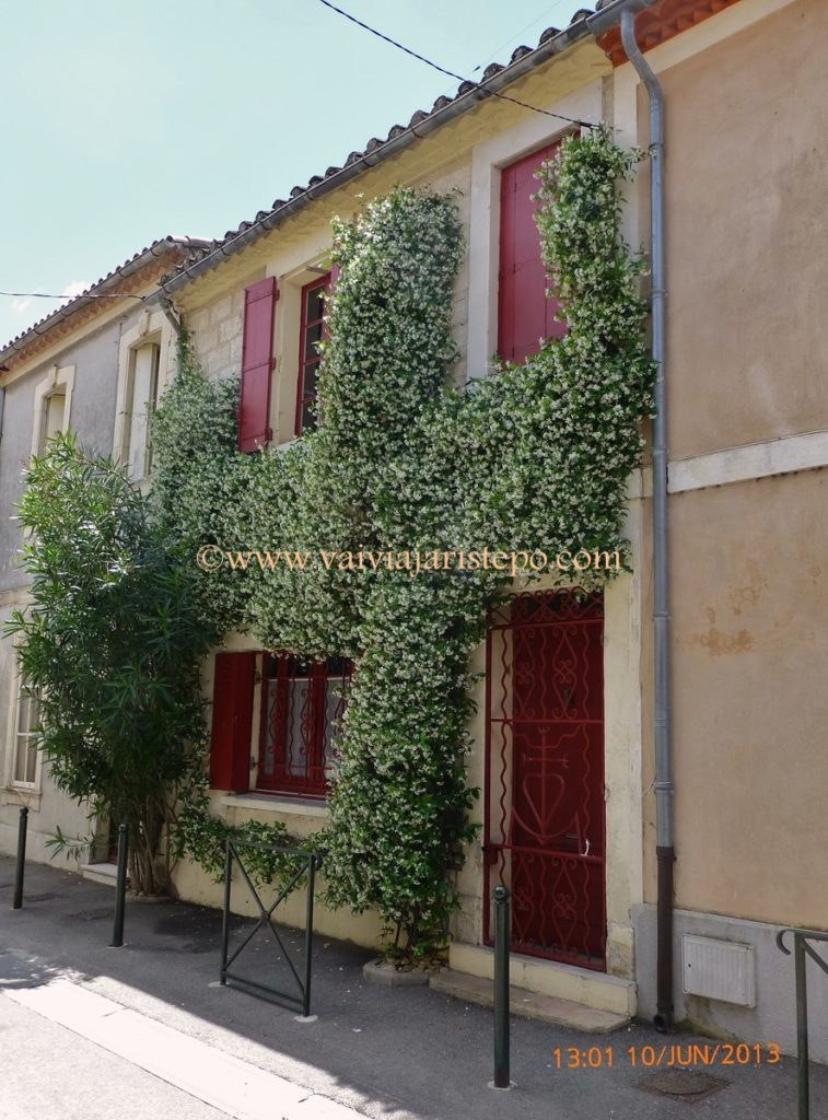 Rua de Aigues-Mortes.