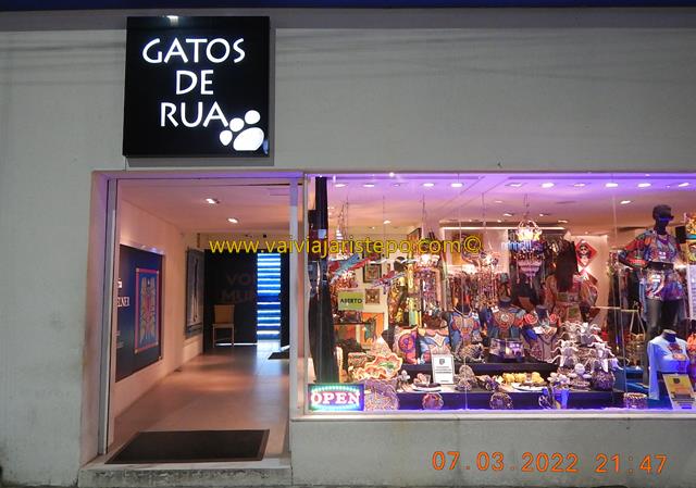 BRASIL . PERNAMBUCO . PORTO DE GALINHAS – Gatos de Rua: Uma Boutique Que É O Bicho!