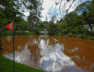 Esta foto mostra um pequeno lago a fim de que as crianças, adultos e idosos brinquem com barcos guiados por controle remoto. 