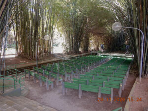 Um auditório foi criado sob o bambuzal para apresentações teatrais, musicais e até a realização de casamentos. O ambiente chega a ser mágico pela sensação que nos proporciona. É lindo!